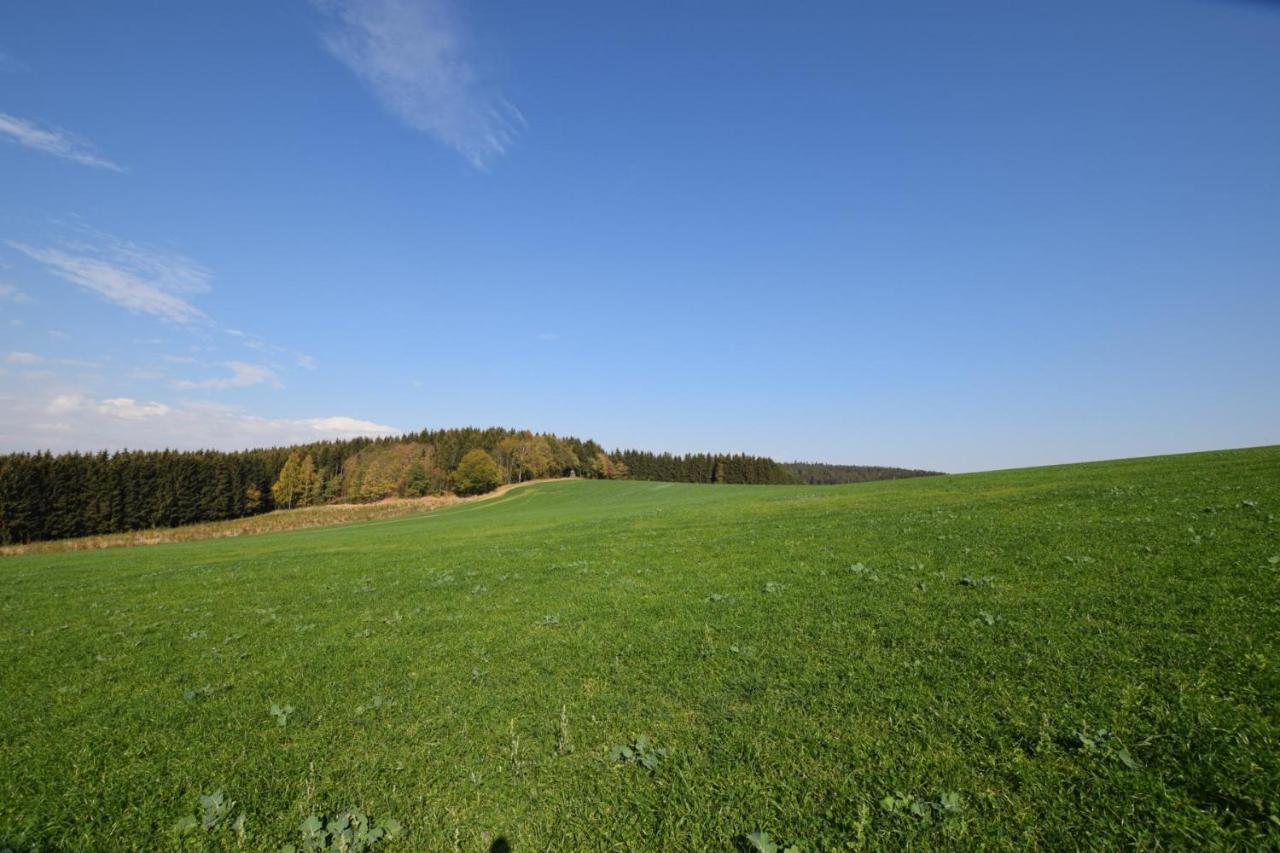 Landgasthof Wolfsgrund Hotel Dorfchemnitz Kültér fotó