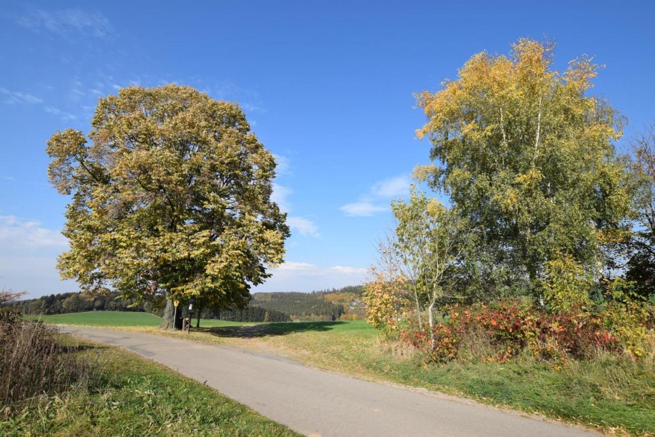 Landgasthof Wolfsgrund Hotel Dorfchemnitz Kültér fotó